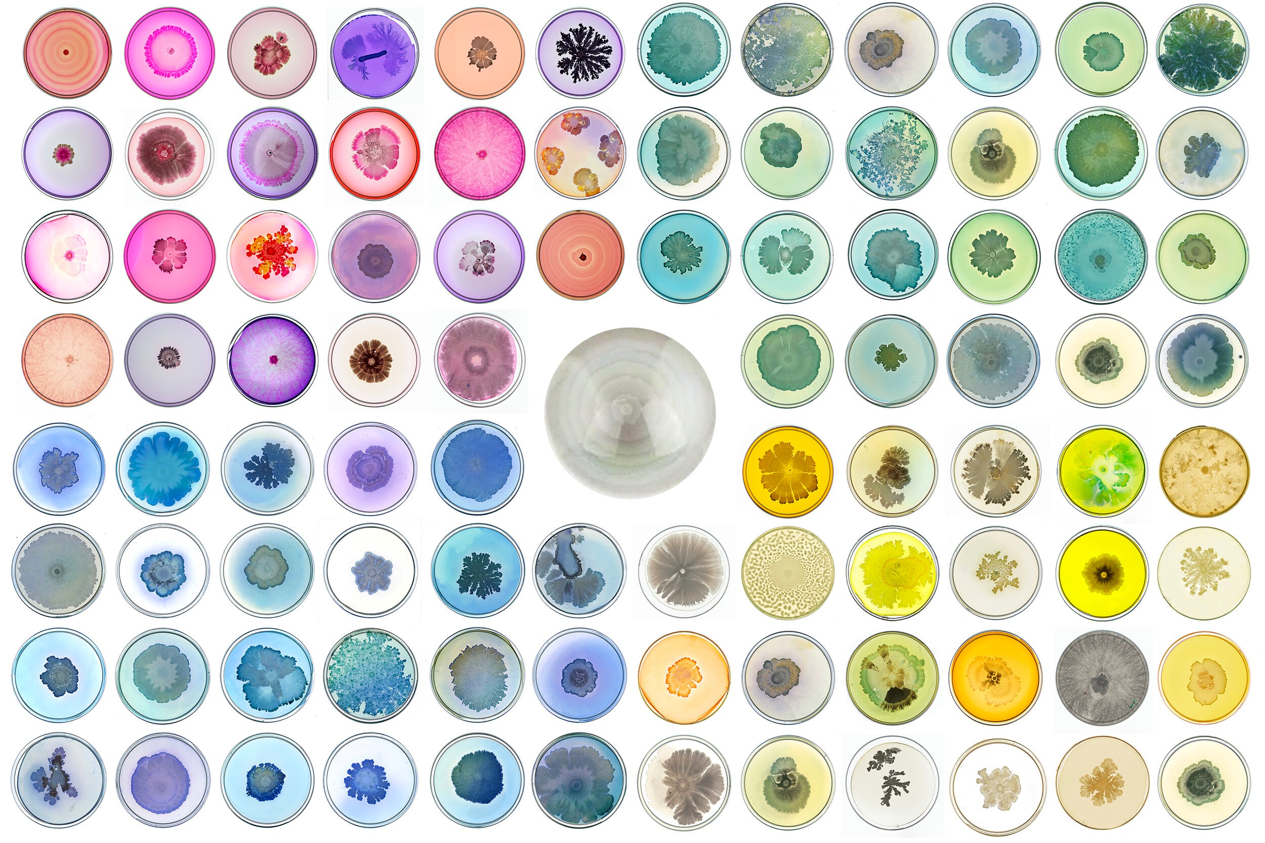 Colorful and artistic arrangement of cells