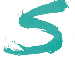Sassy 'S' logo