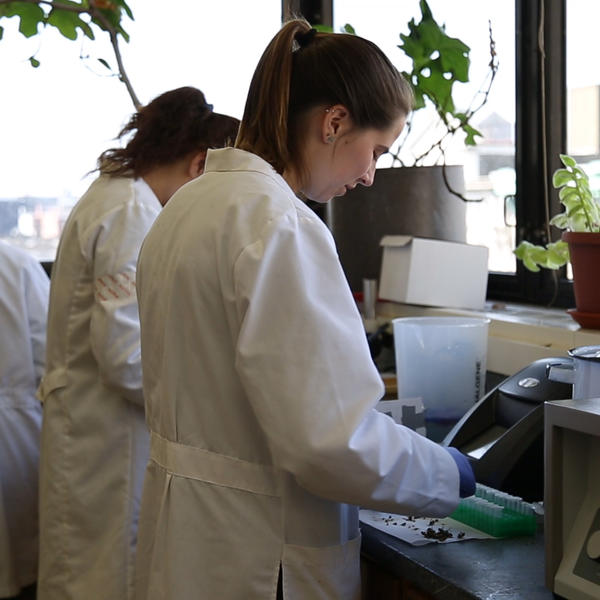 Young women in white lab coats working in a science lab