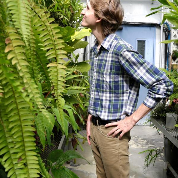 White man in a greenhouse with lots of ferns