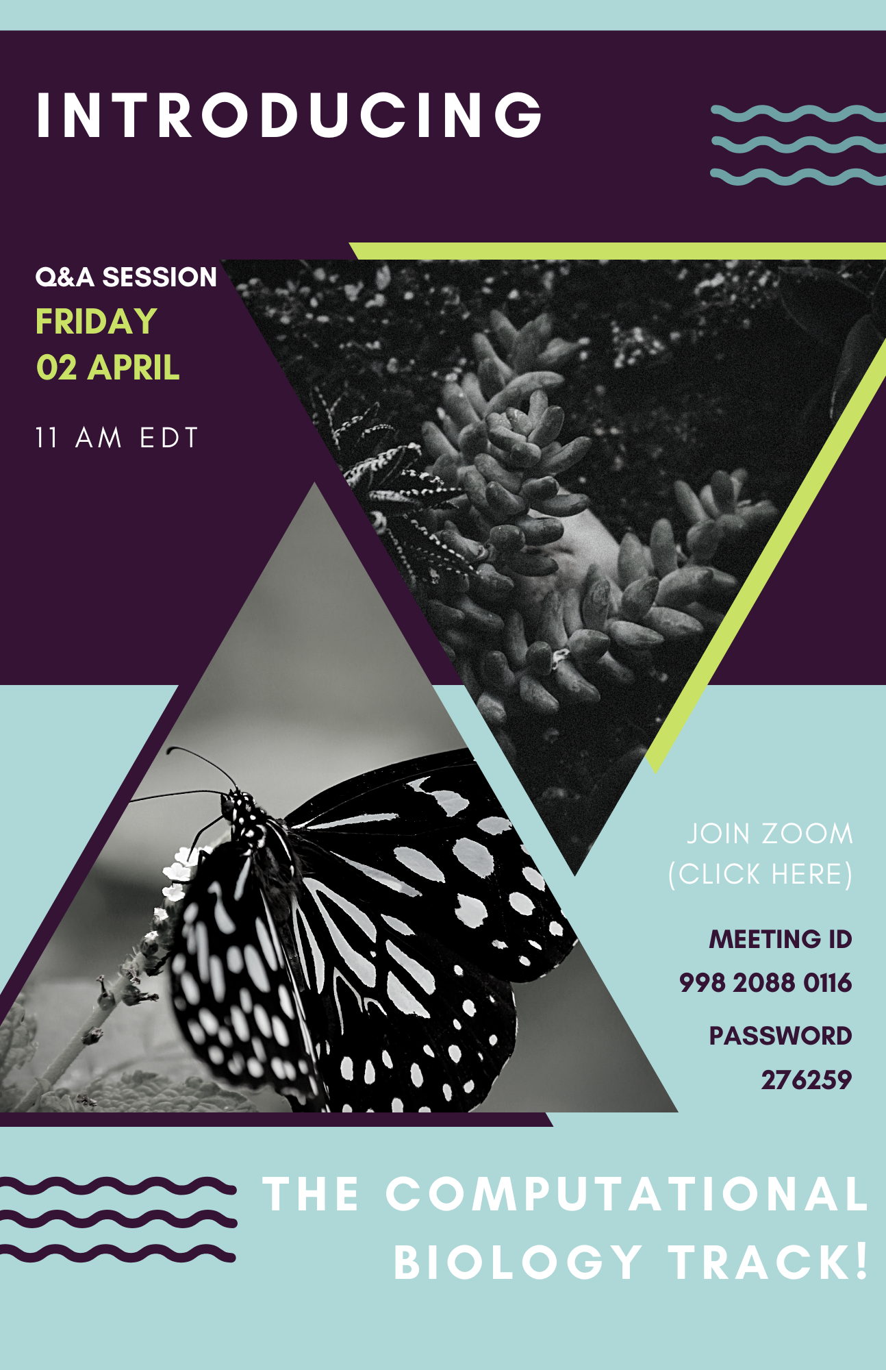 Program Planning Computational Biology Fall 2021