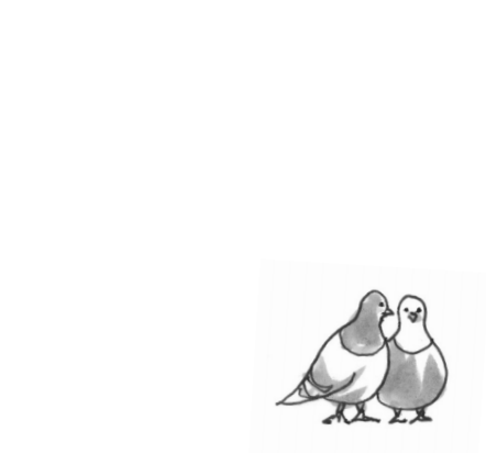 illustration of two pigeons standing huddled up next to each other
