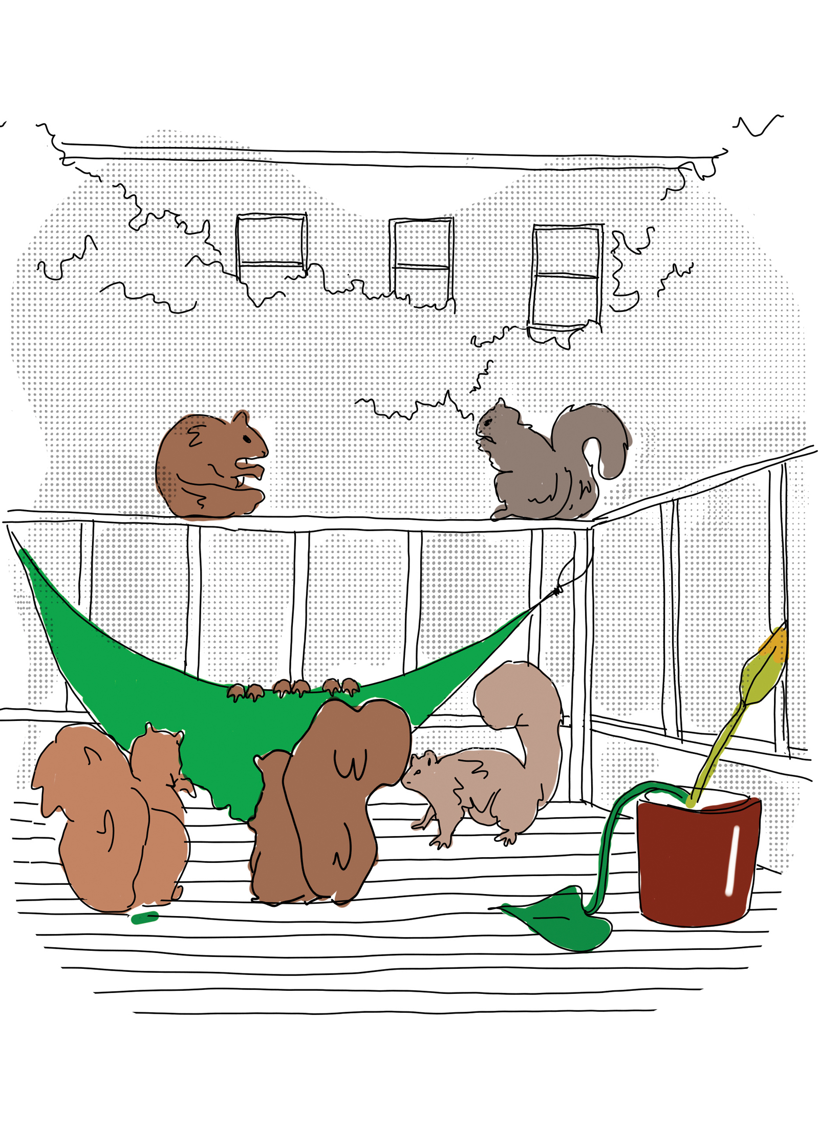 Illustration of squirrels sitting on a hammock 