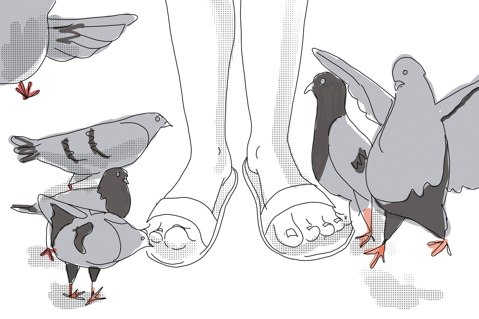 Illustration of pigeons pecking at feet in sandals 