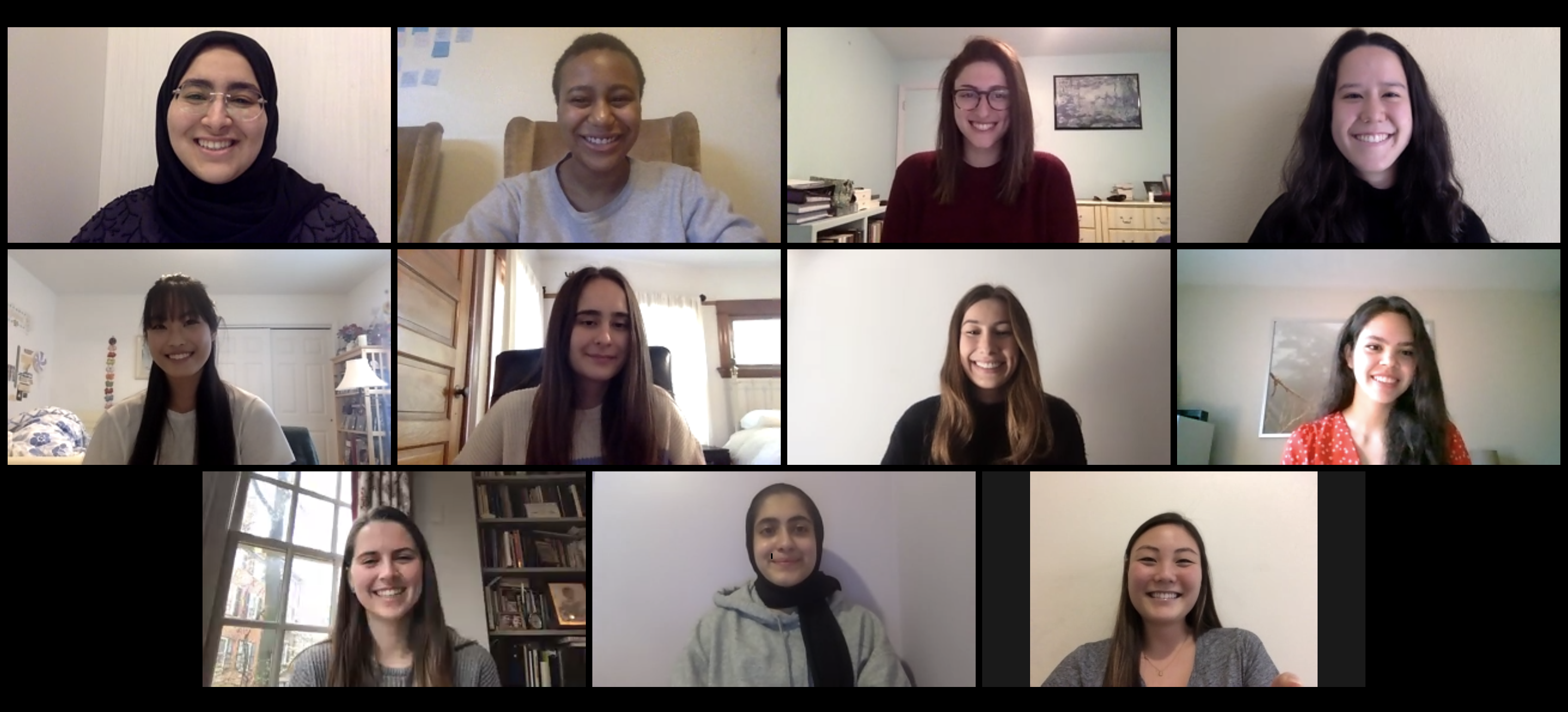 Senior Thesis Research and Seminar students 2020