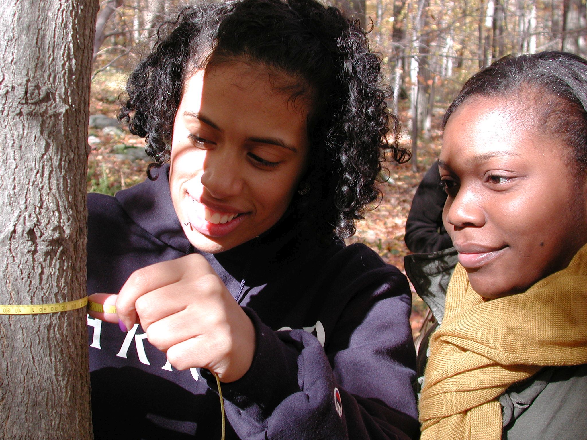 Students measuring trees at Black Rock Forest.jpg (