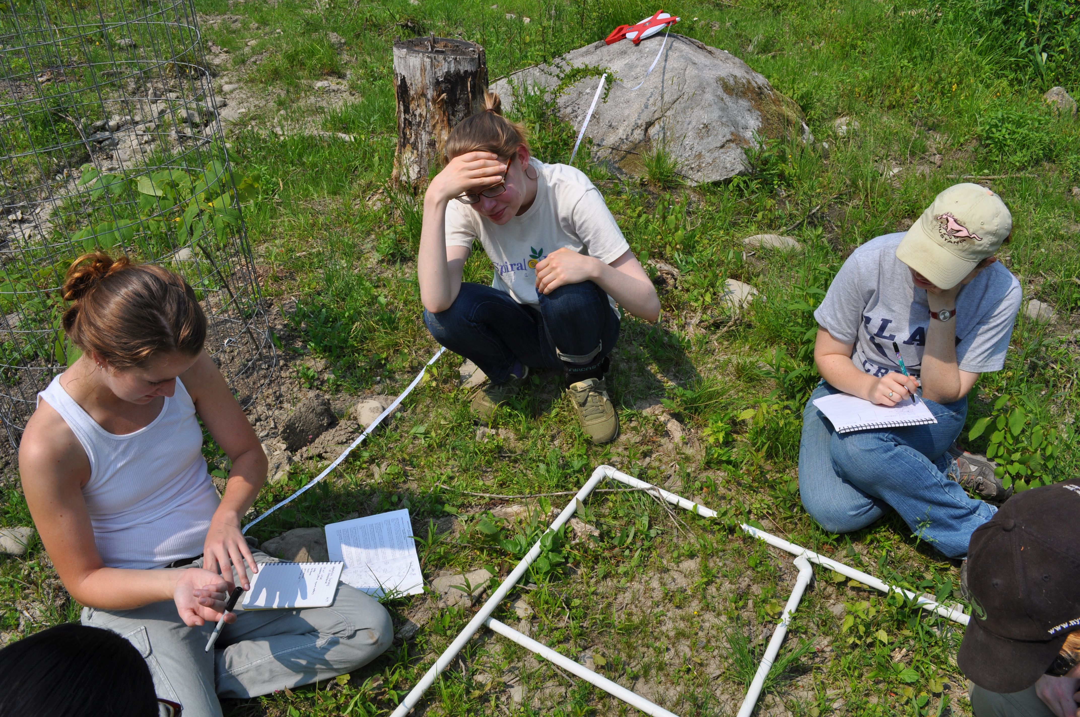 Students conducting vegetation surveys at Black Rock Forest.jpg 