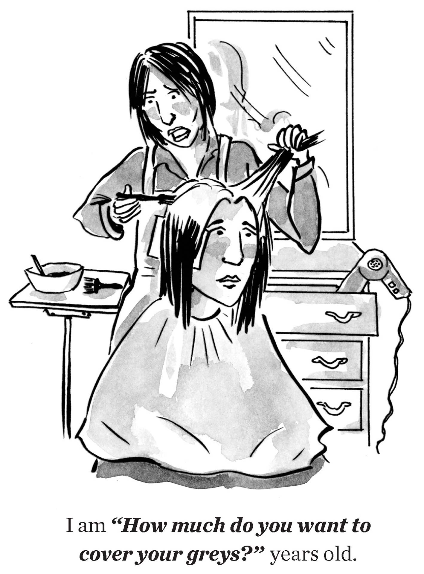 drawing of woman in salon with caption, i'm how much do you want to cover your greys years old