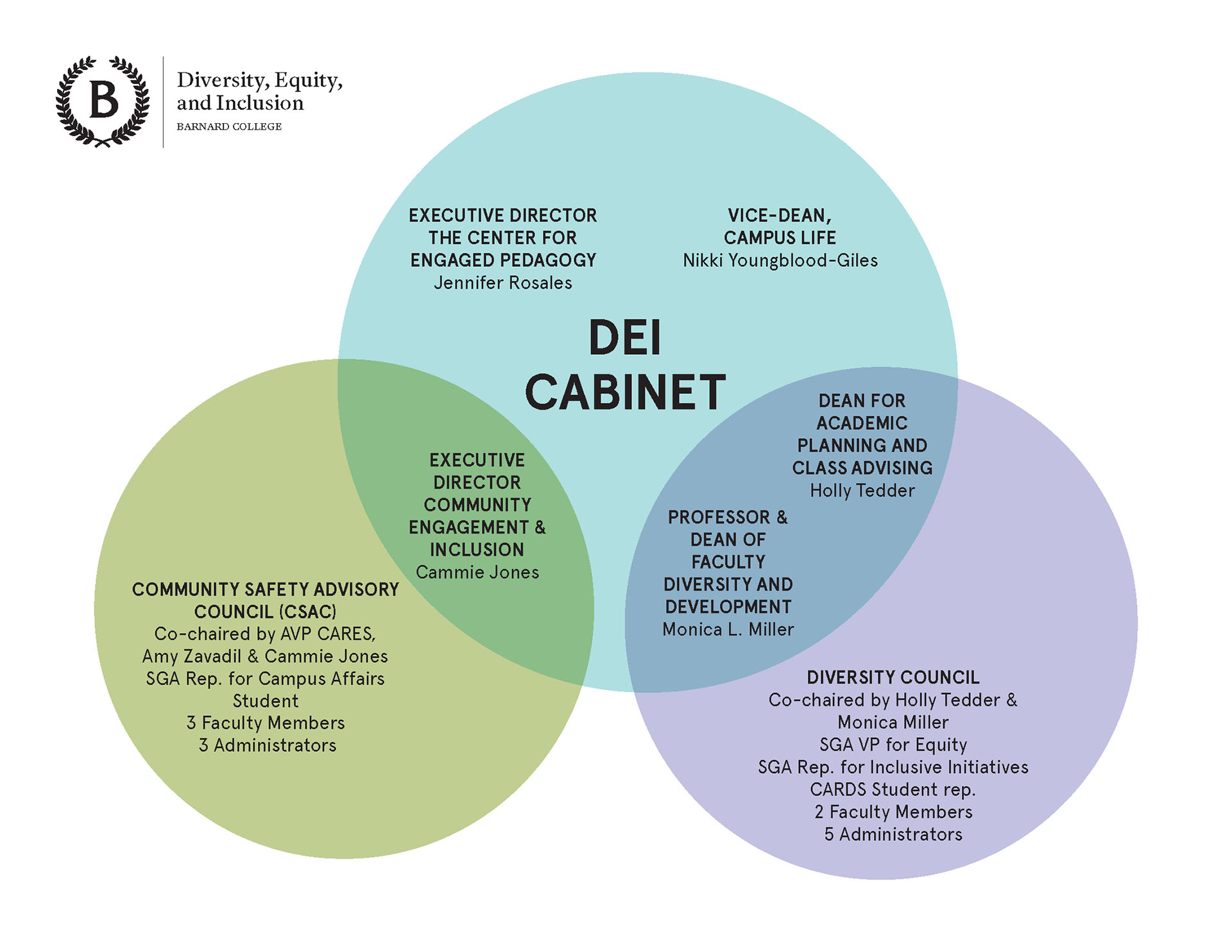 venn diagram showing overlapping memberships between Cabinet, council, and safety advisory council