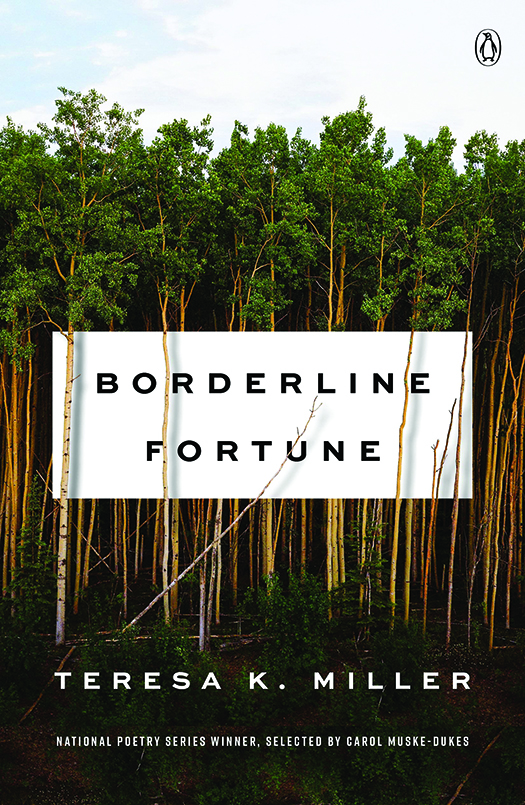 Book cover of Borderline Fortune