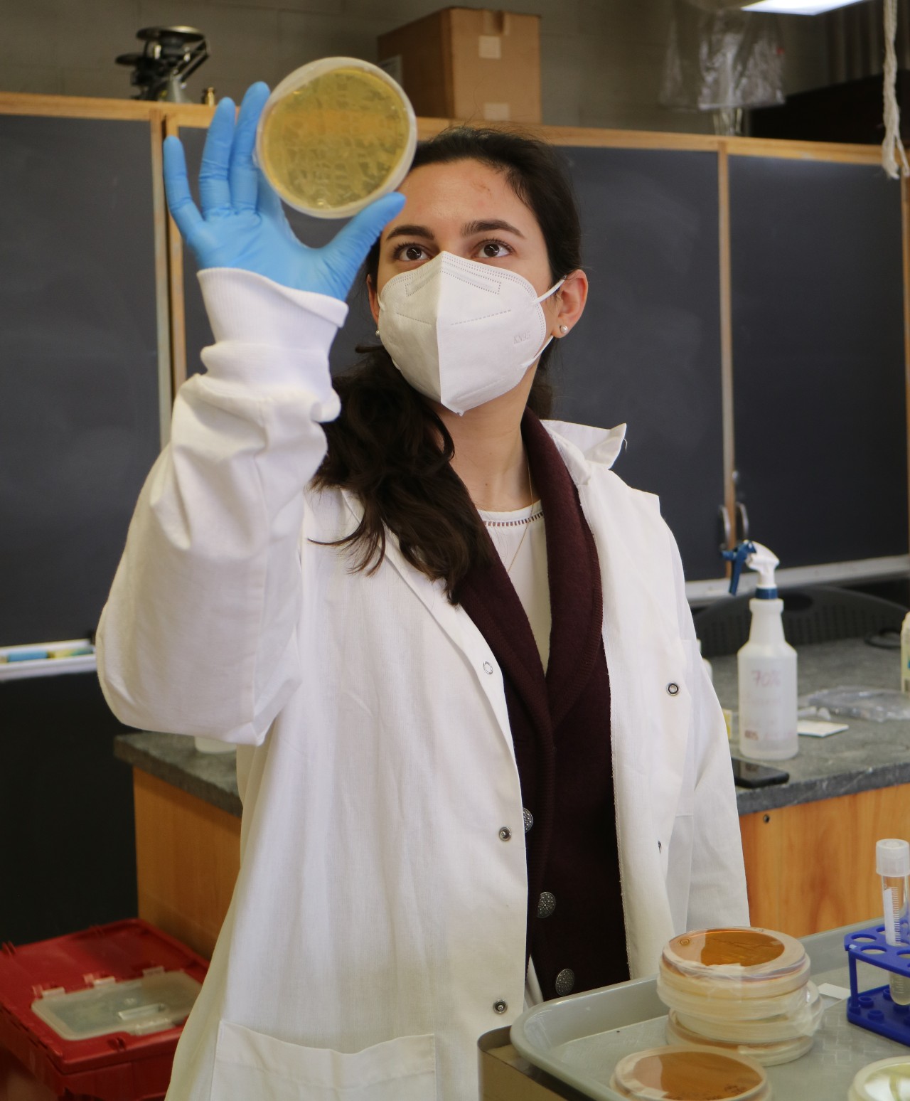 Professor Gabrielle Corradino in the biology lab classroom