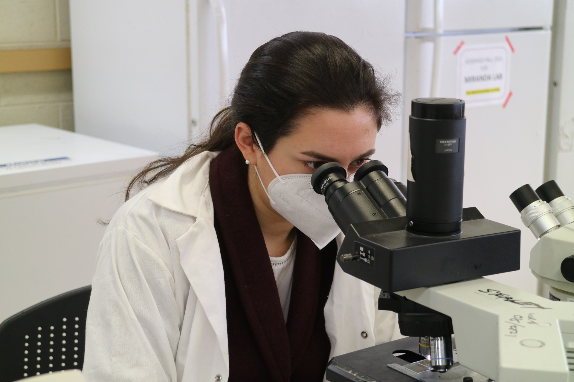 Professor Gabrielle Corradino at the microscope 