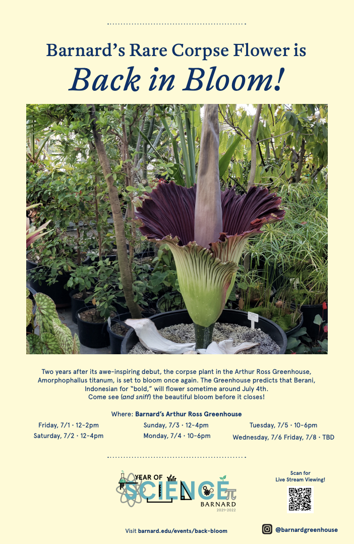 2022 Corpse Flower Poster