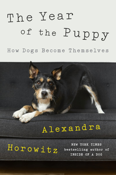 The Year of the Puppy book cover