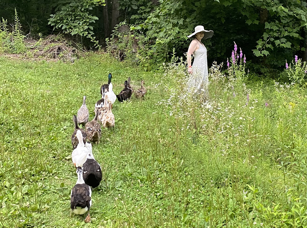 A line of ducks follow Debra Tillinger on a grassy slope.