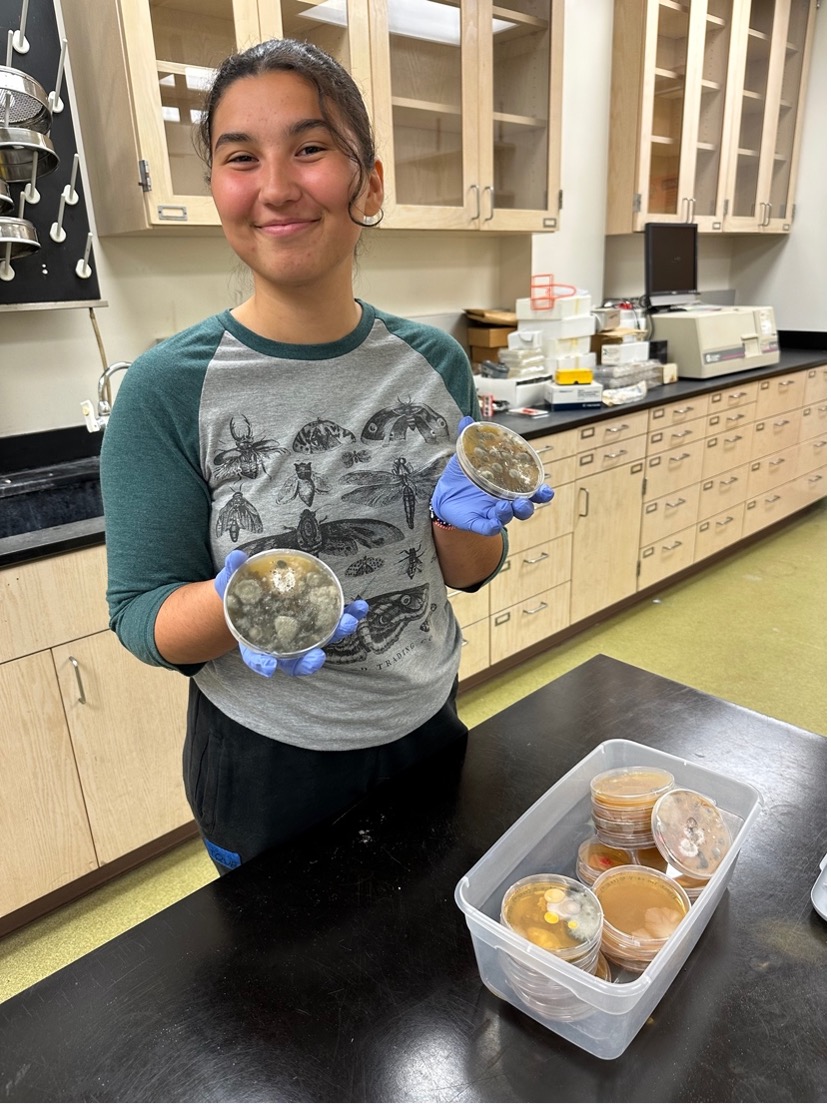 Nadia with the fungi that grew from the first trial leaves