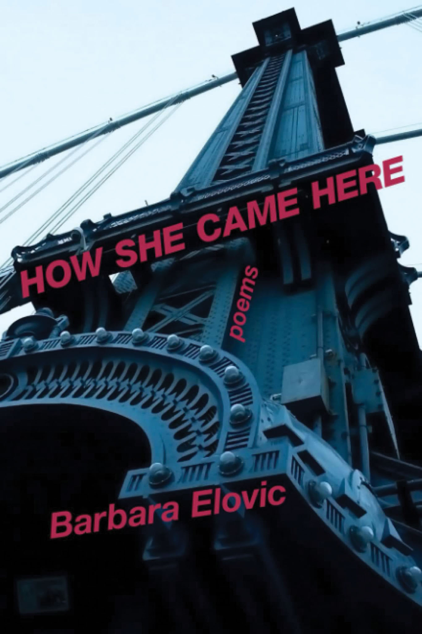 How She Came Here book cover
