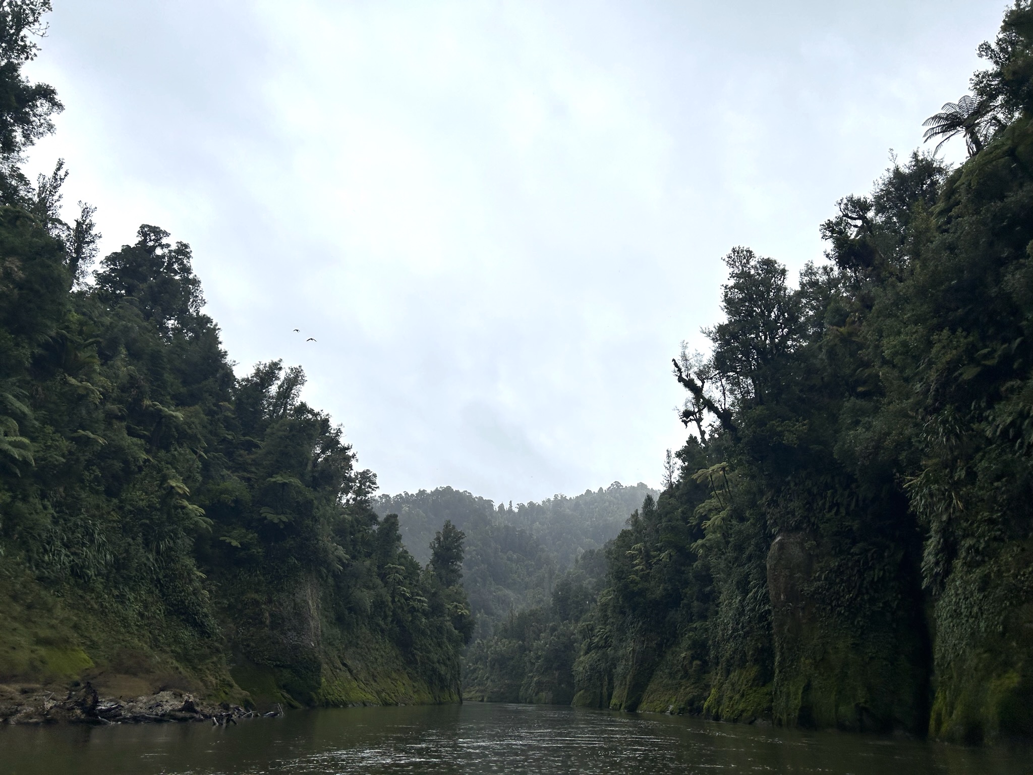 Whanganui River-2
