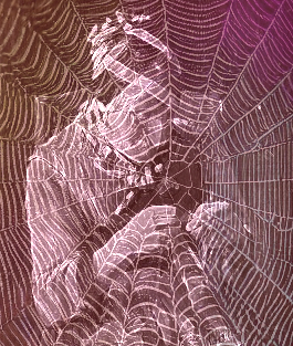 knitting a spiderweb