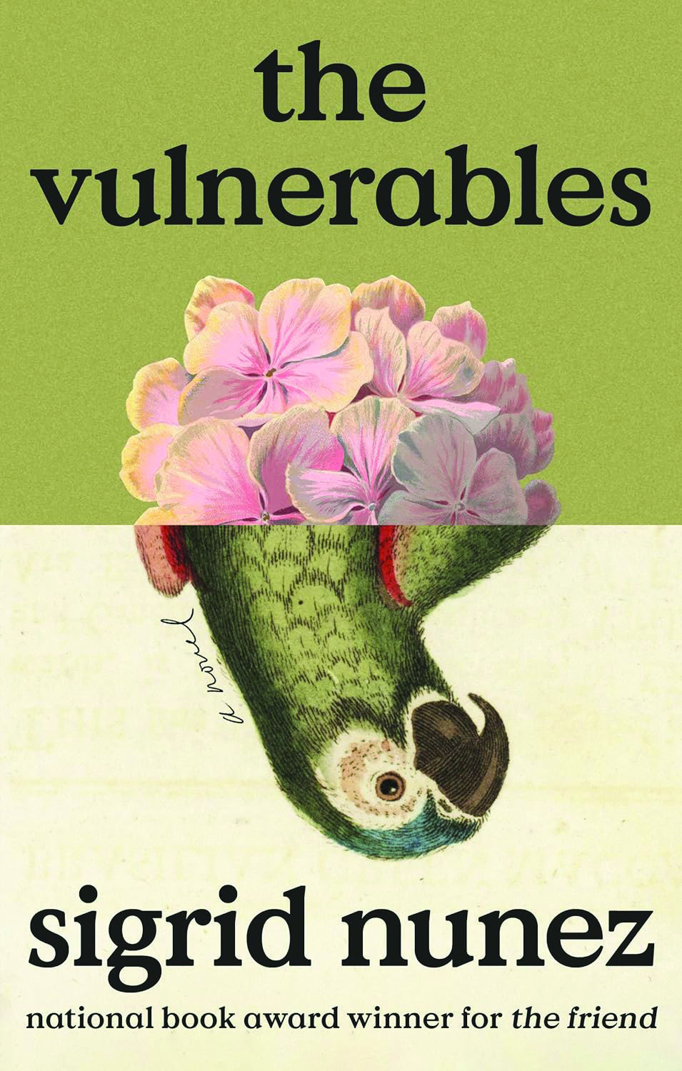 The Vulnerables
