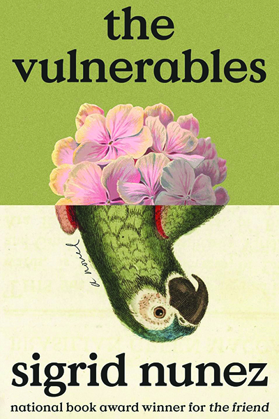 The Vulnerables cover