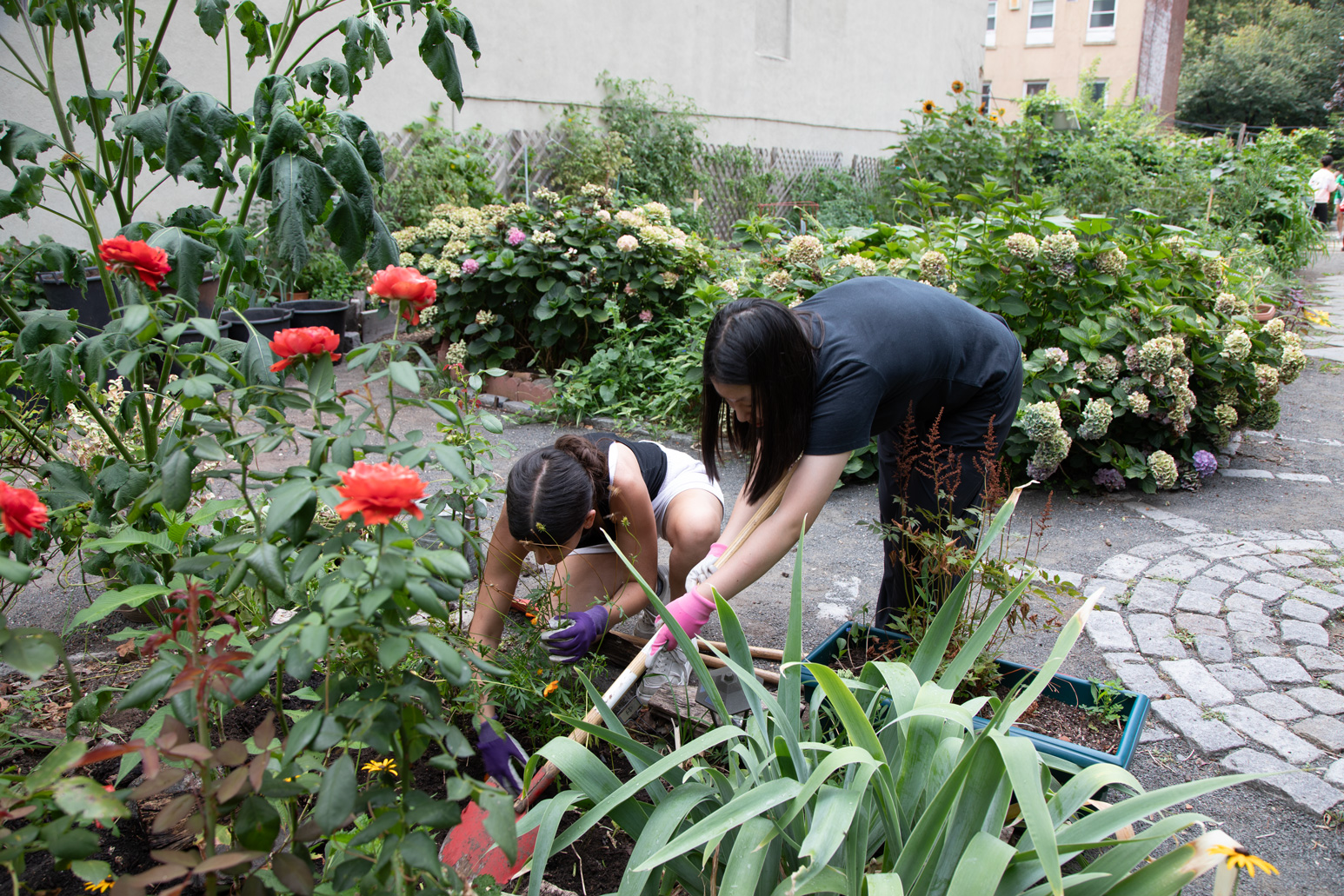 Students working in garden PCP at Rodale Pleasant Community Garden