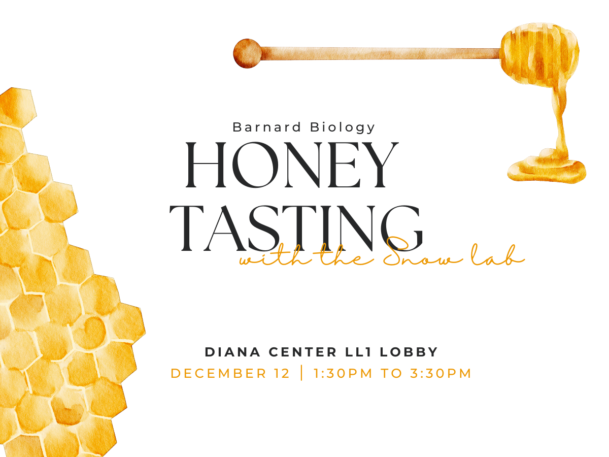 honey tasting poster