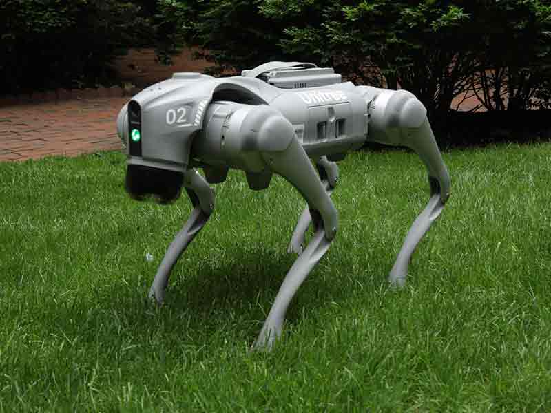 Robot on the grass