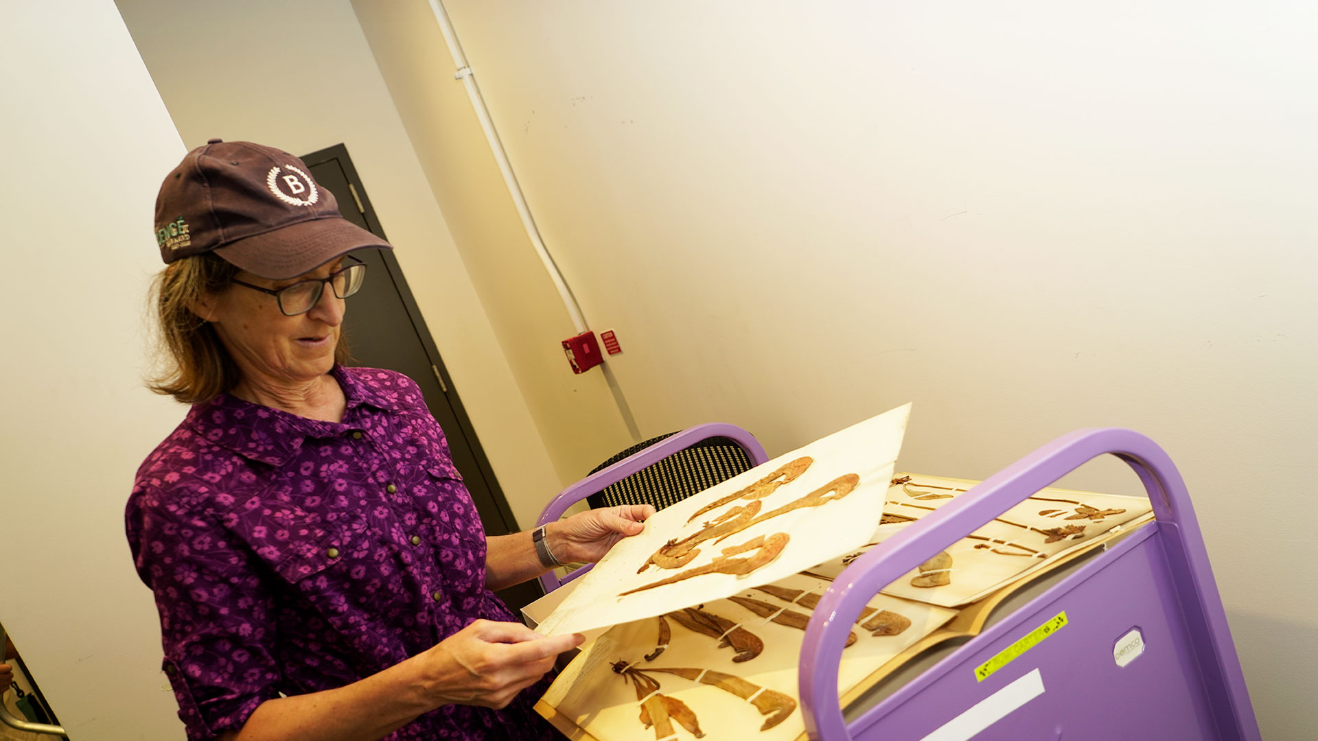 woman wearing purple looking at plant archive