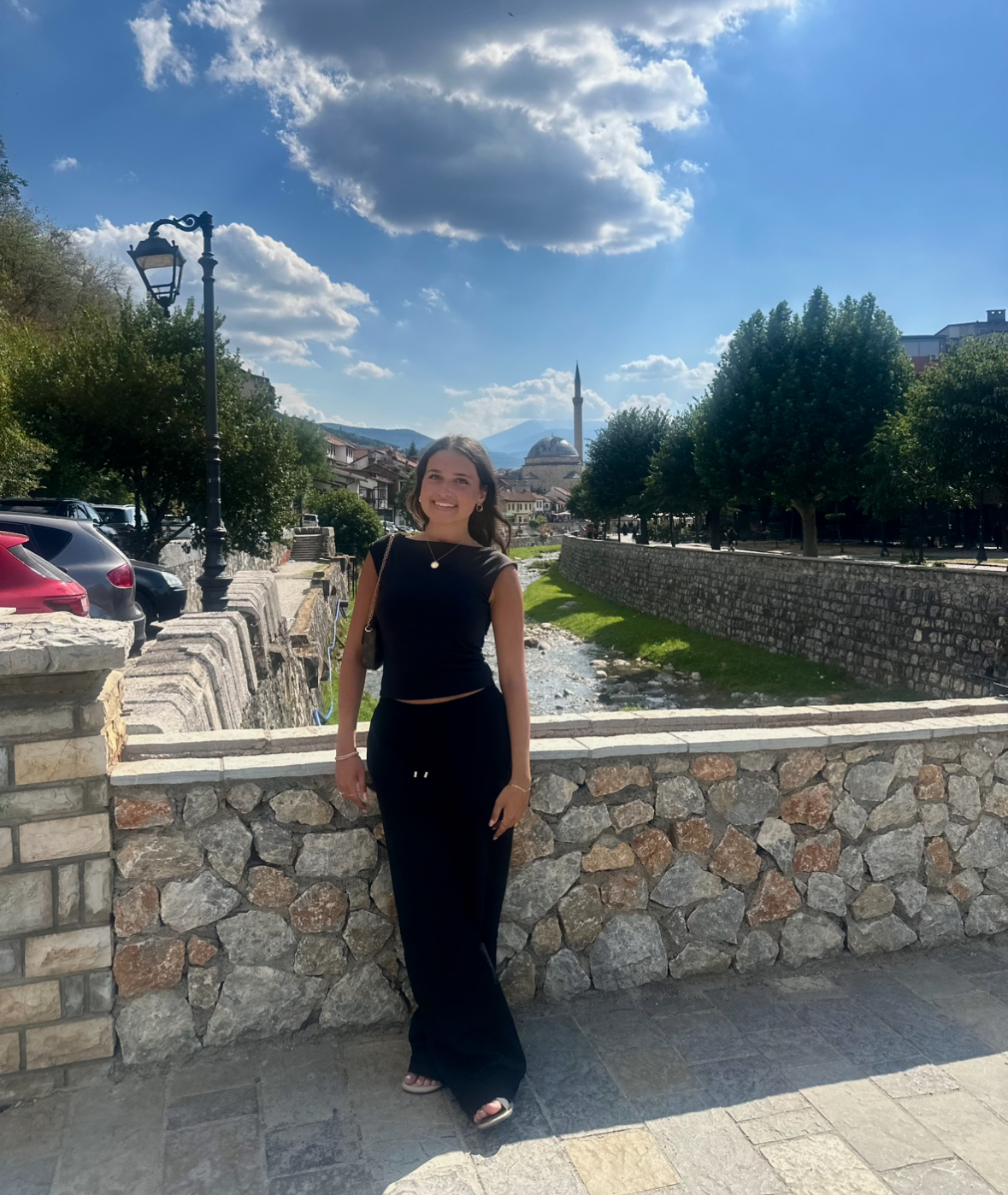 Drita Ferati BSAR
