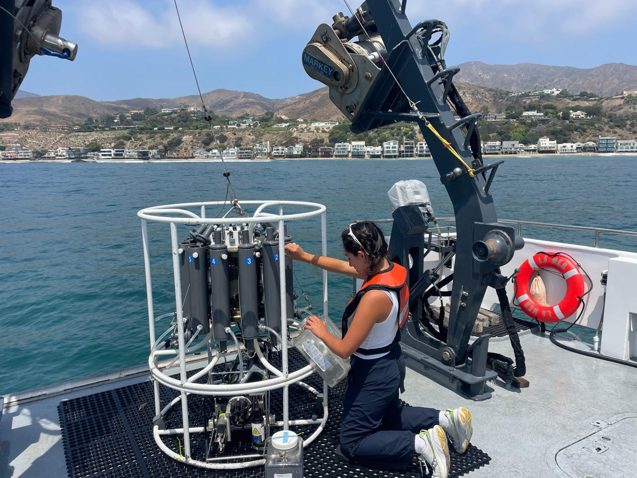 Nichole's Third Blog Post