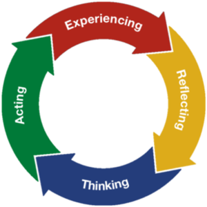 Circle diagram with a green arrow that reads "acting," a red arrow that reads "experiencing," a yellow arrow that says "reflecting," and a blue arrow that says "thinking."