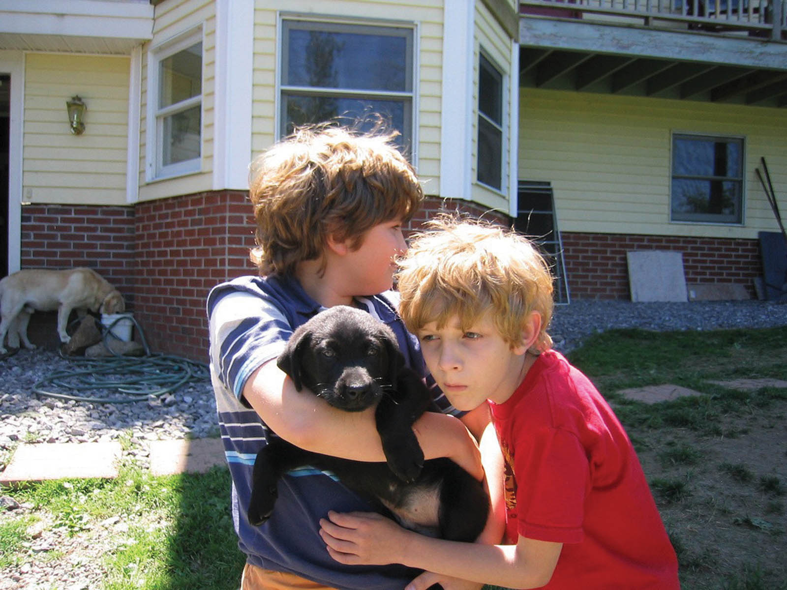 boys with dog