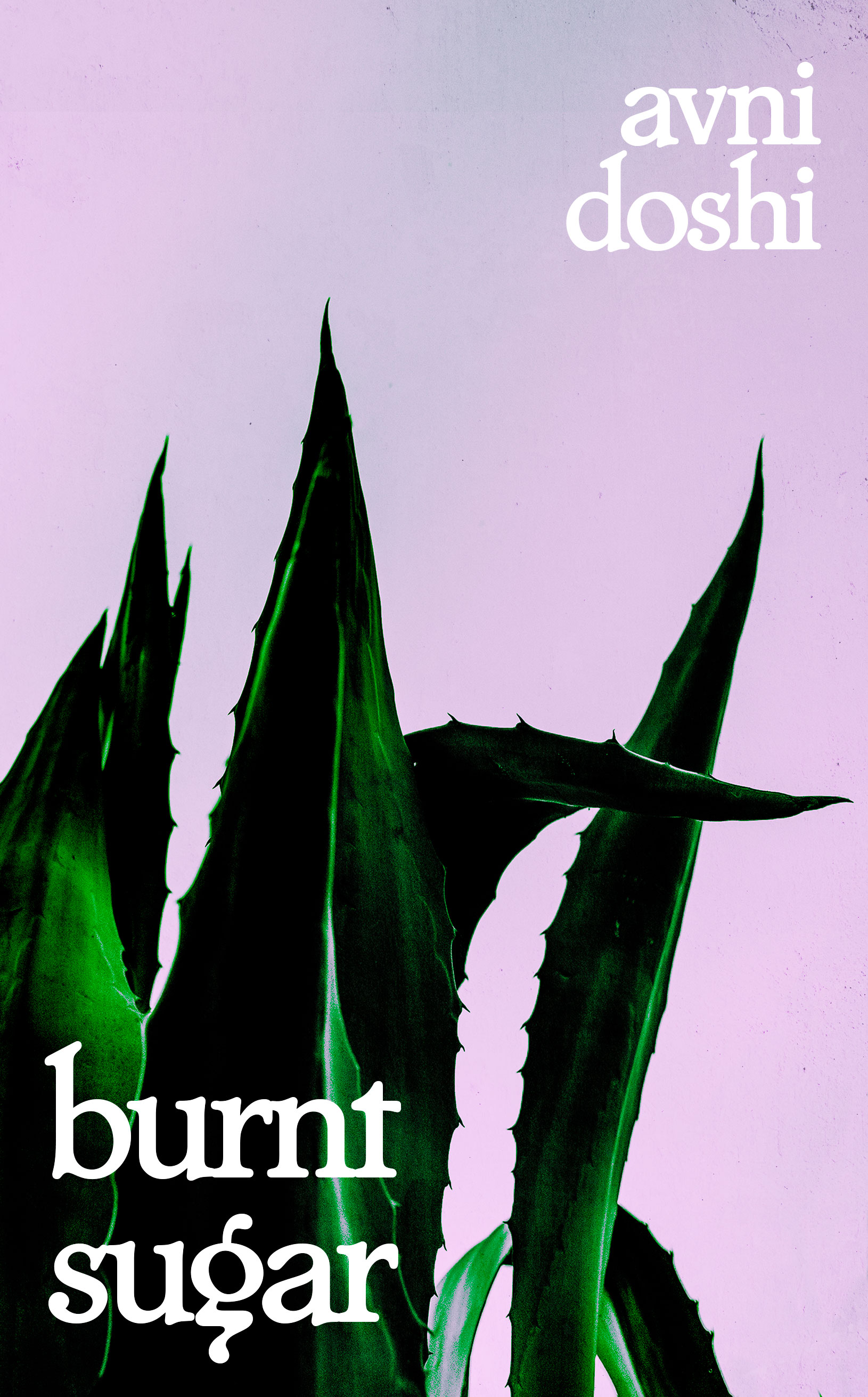Burnt Sugar by Avni Doshi, a book cover