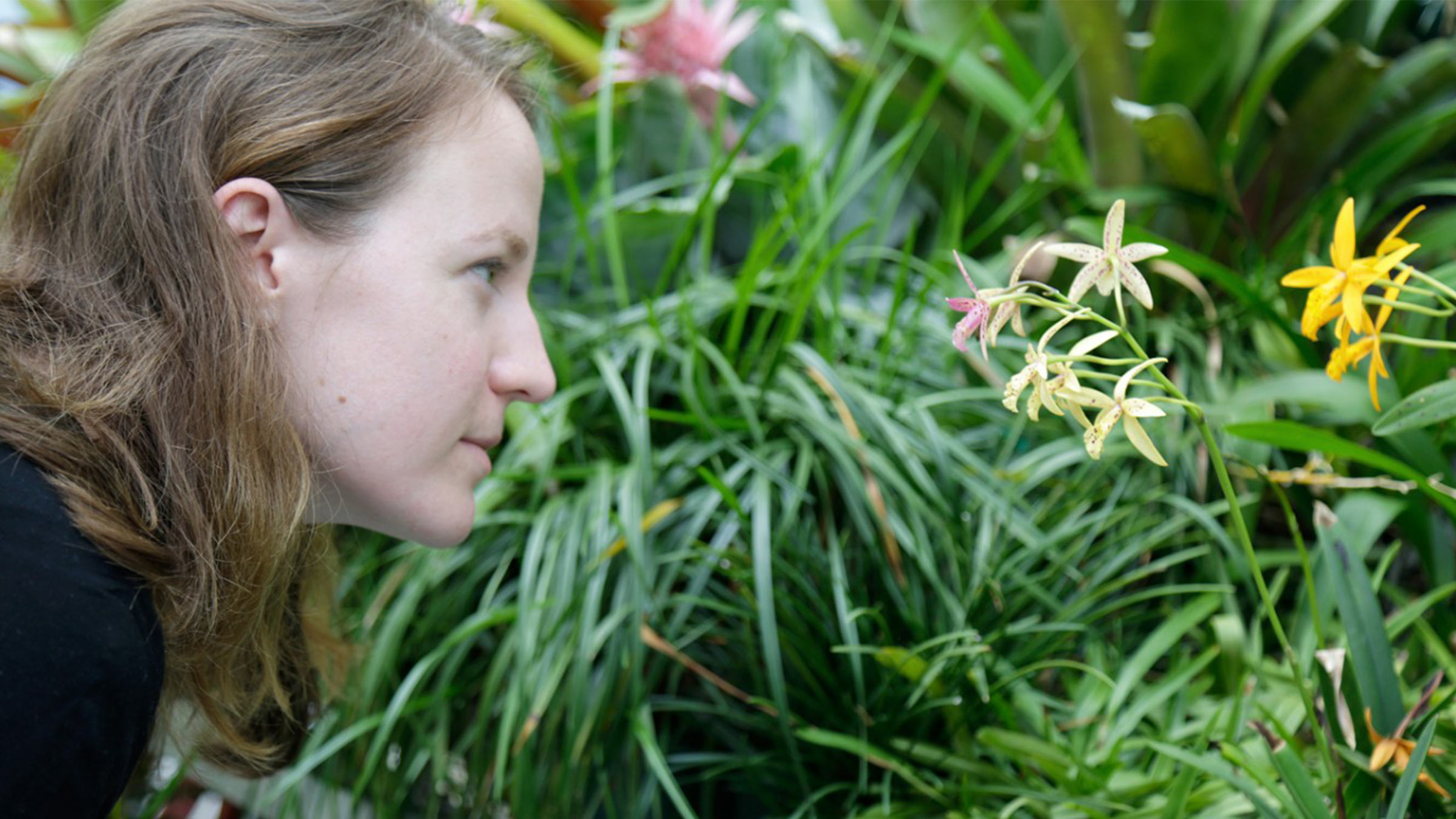 Student in the greenhouse