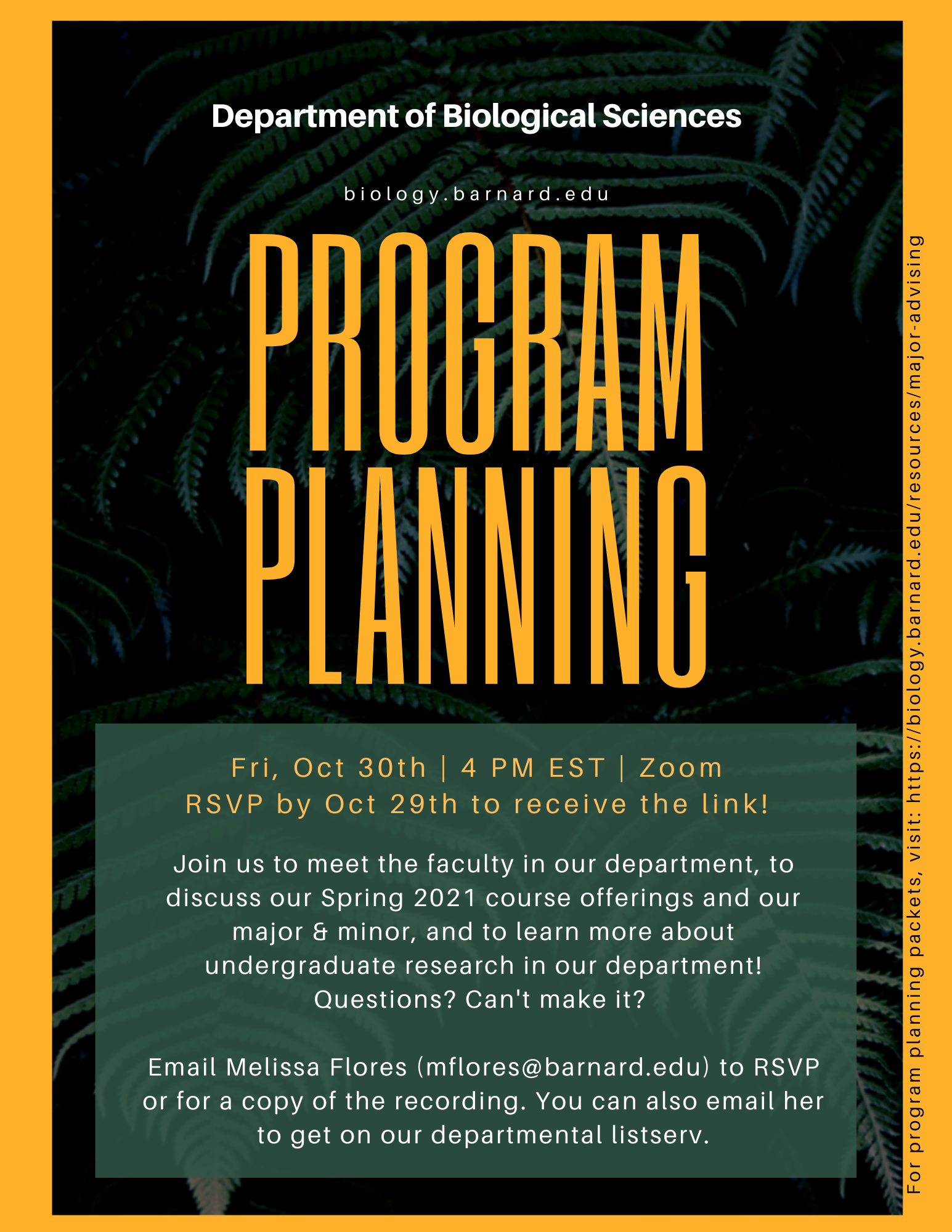 Program Planning Flyer - Spring 2021