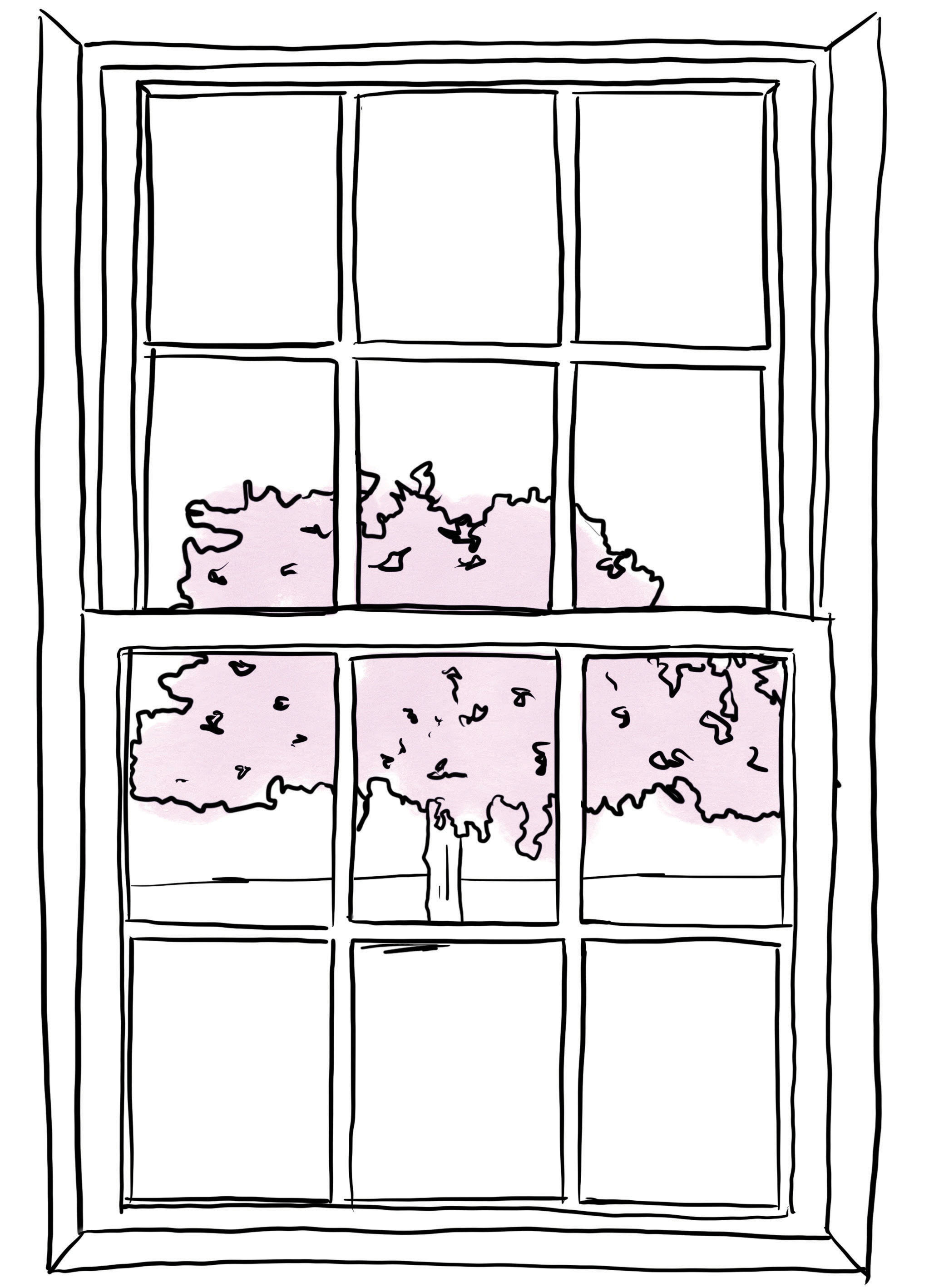 Illustration of a window with a view of a tree