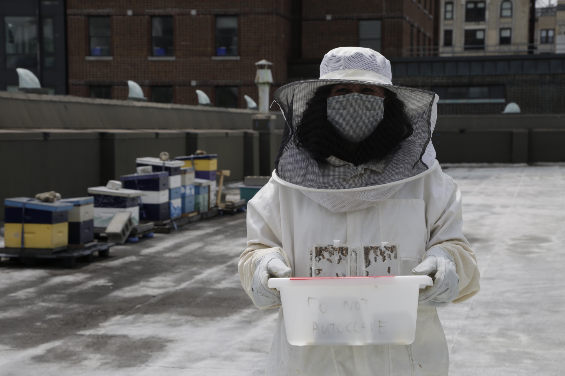 A woman stands on the roof of Barnard Hall in a beekeeping suit holding a tray of bees