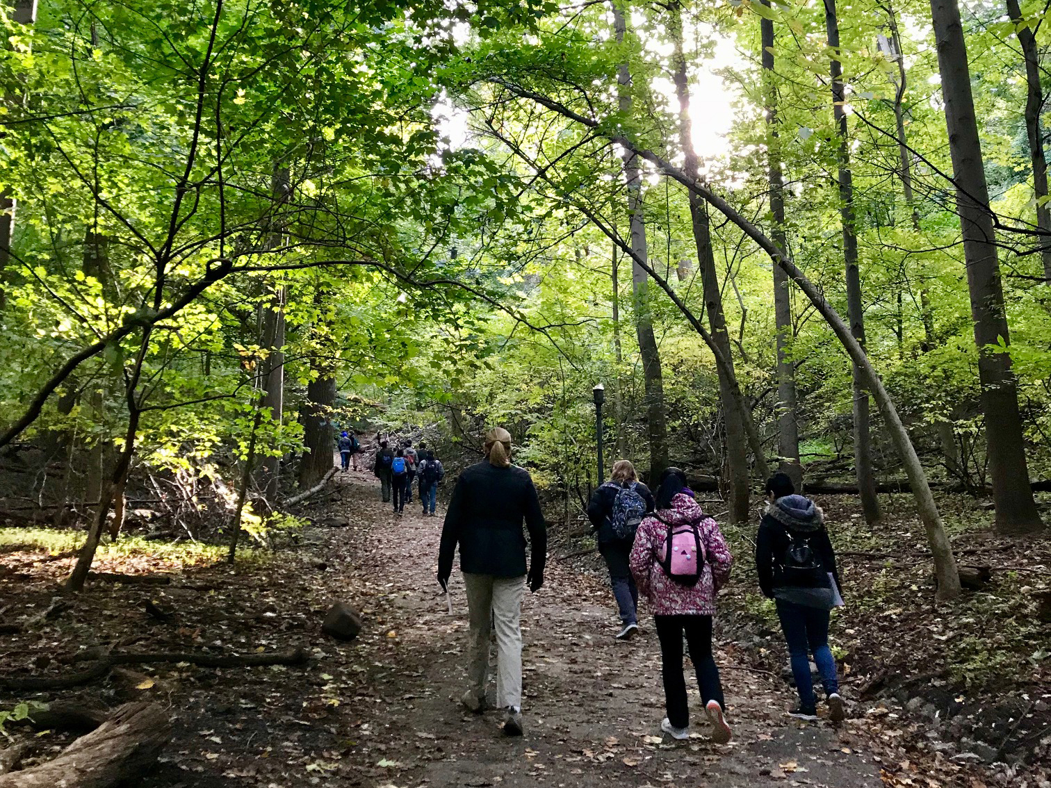 Hike in the woods