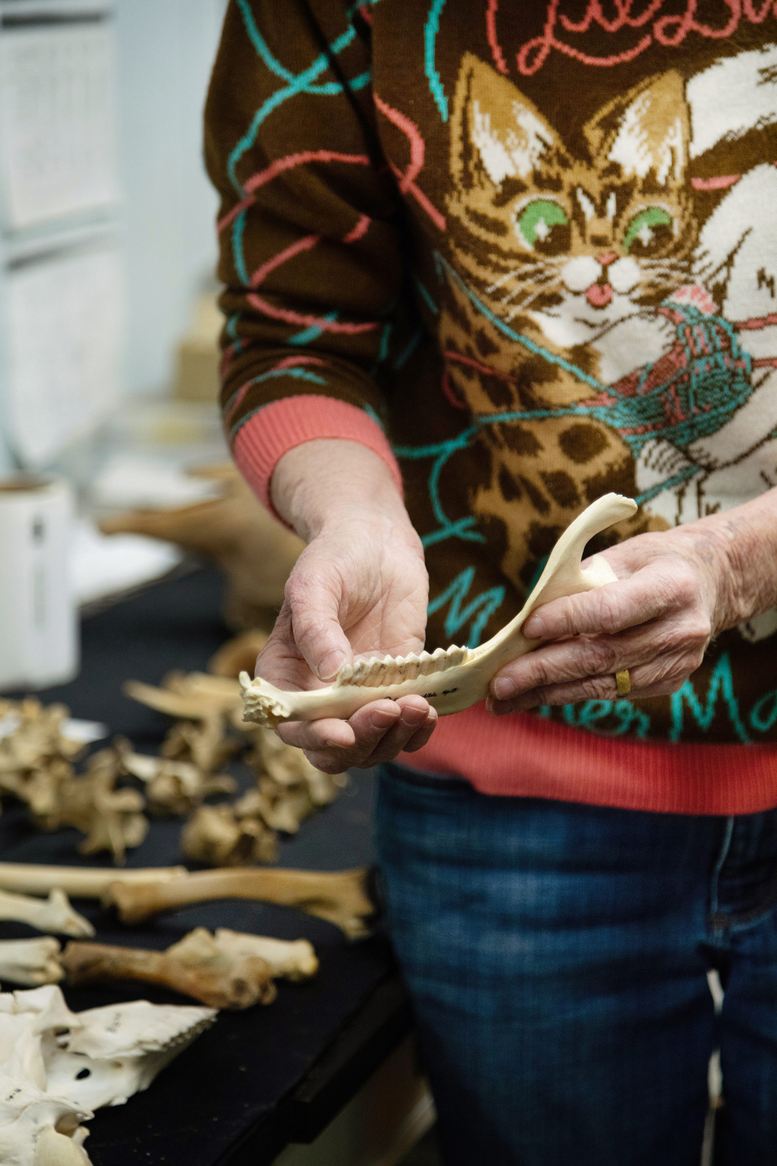 Crabtree holding archaeological remains.