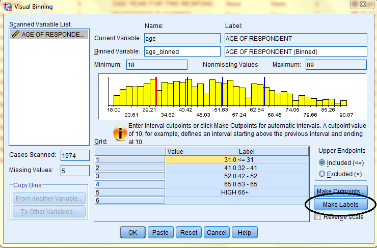 SPSS Screenshot