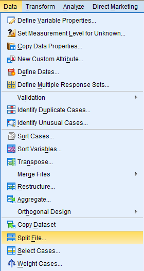 SPSS Screenshot