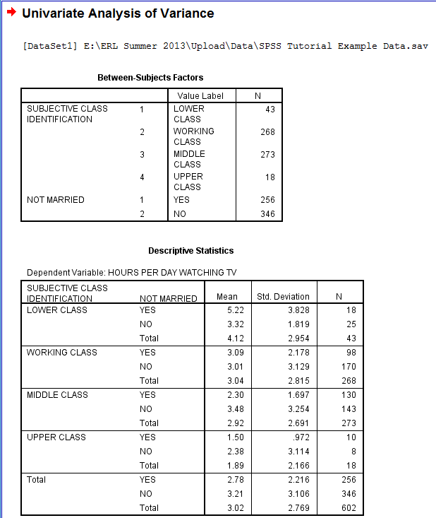 SPSS Screenshot