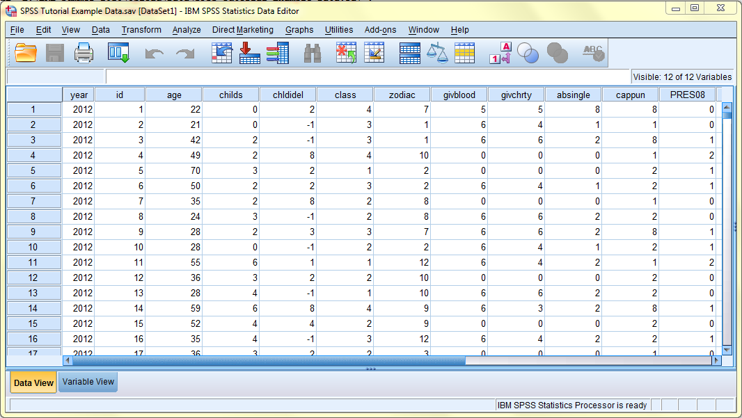 SPSS screenshot