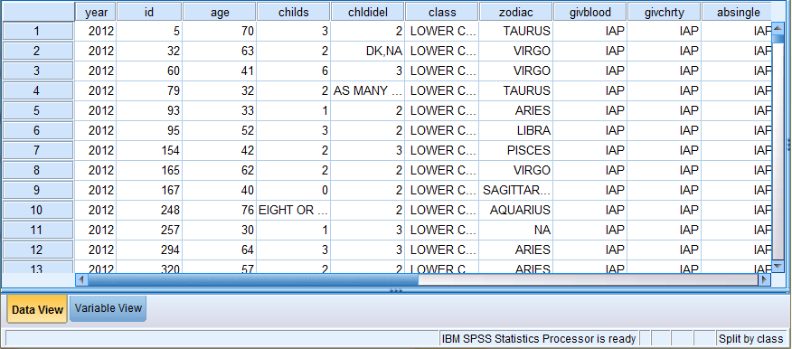 SPSS Screenshot