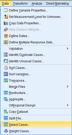 SPSS Screenshot