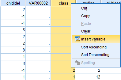 SPSS Screenshot