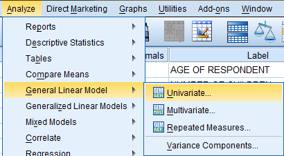 SPSS Screenshot