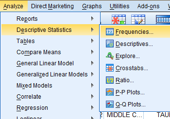 SPSS Screenshot