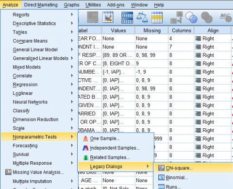 SPSS Screenshot